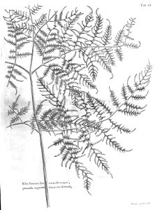 n498_w1150