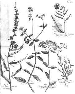 n587_w1150