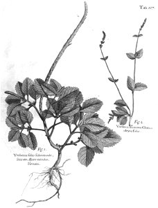 n542_w1150