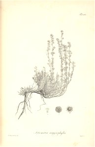 n92_w1150