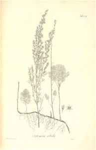 n107_w1150