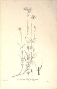 n62_w1150