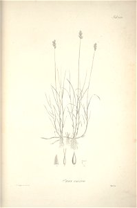 n206_w1150