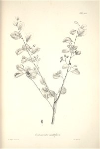 n103_w1150