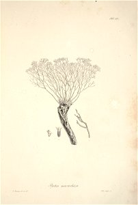 n88_w1150