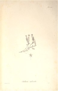 n49_w1150