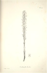 n247_w1150