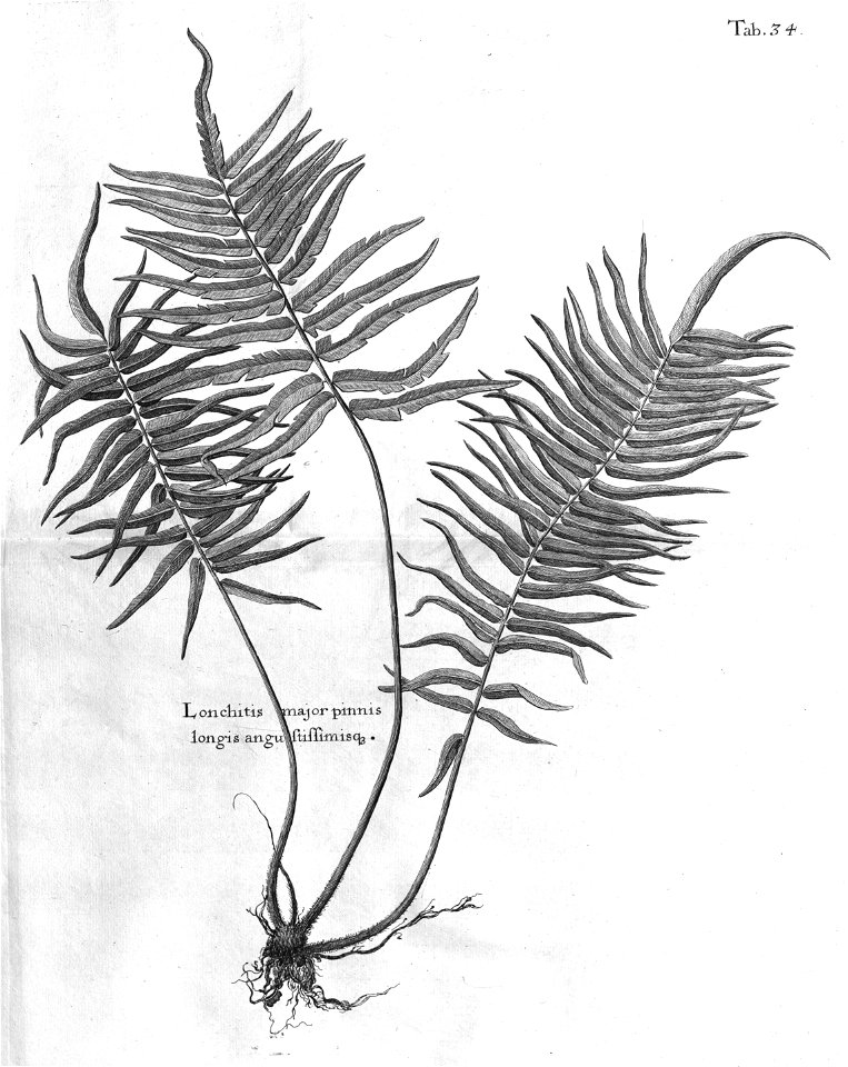 n469_w1150