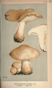 n234_w1150