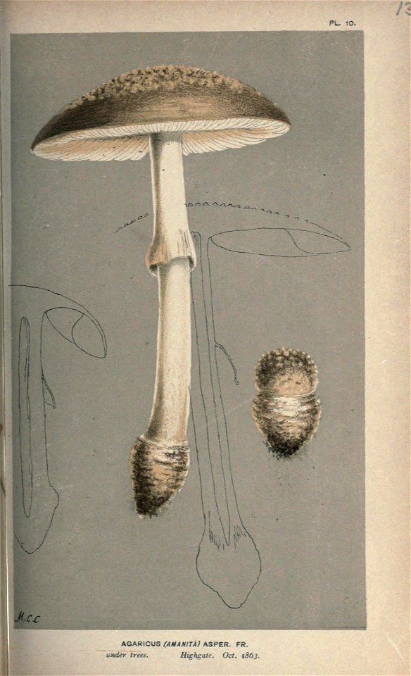 n54_w1150
