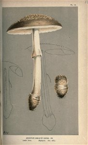 n54_w1150