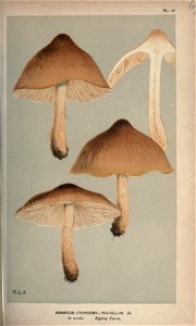 n166_w1150