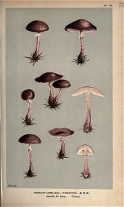 n136_w1150