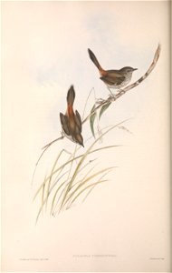 n163_w1150