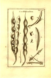 n196_w1150