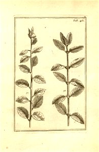 n211_w1150