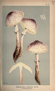 n82_w1150