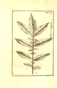 n209_w1150
