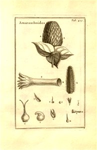 n179_w1150