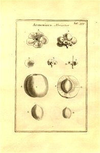 n149_w1150