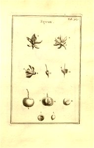 n119_w1150