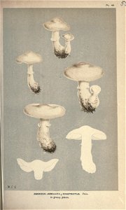 n138_w1150