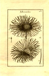 n237_w1150
