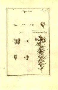 n162_w1150