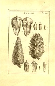 n106_w1150