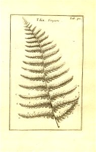 n61_w1150