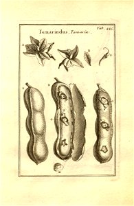 n195_w1150