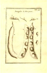n165_w1150
