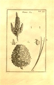 n105_w1150