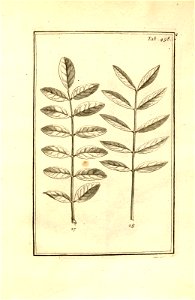 n208_w1150