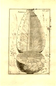 n178_w1150