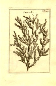 n163_w1150