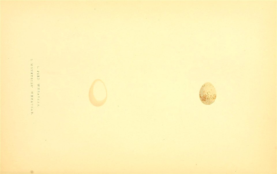 n251_w1150