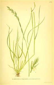 n434_w1150