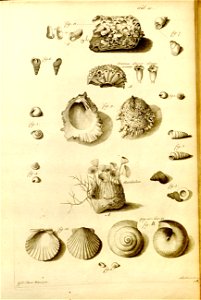 n556_w1150