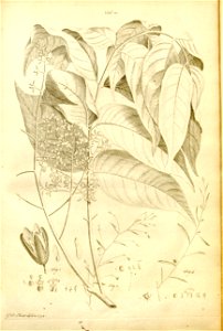 n526_w1150