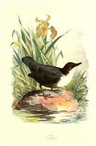 n121_w1150