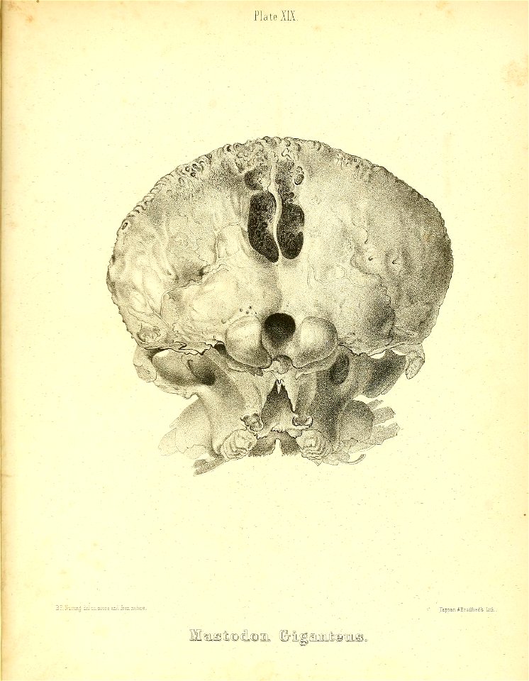 n274_w1150
