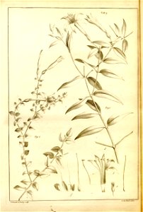 n525_w1150