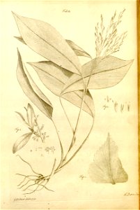 n554_w1150