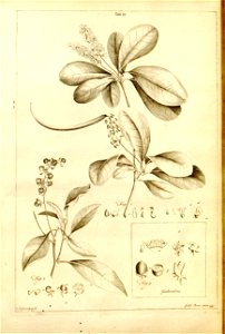 n539_w1150