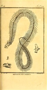 n364_w1150