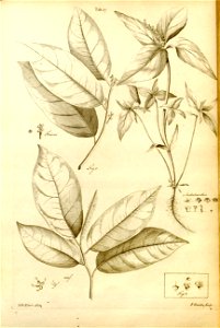 n553_w1150