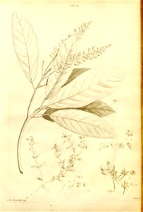 n537_w1150