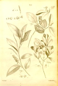 n552_w1150