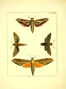 n153_w1150